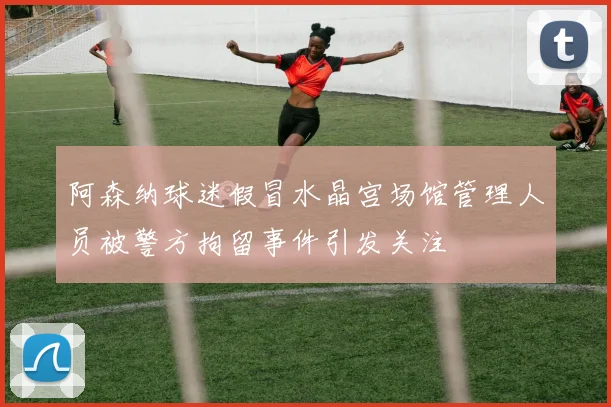 阿森纳球迷假冒水晶宫场馆管理人员被警方拘留事件引发关注